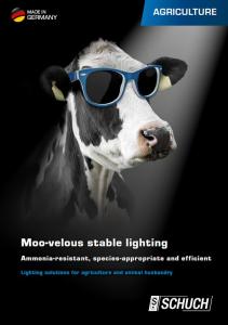 Flyer Landwirtschaft englisch